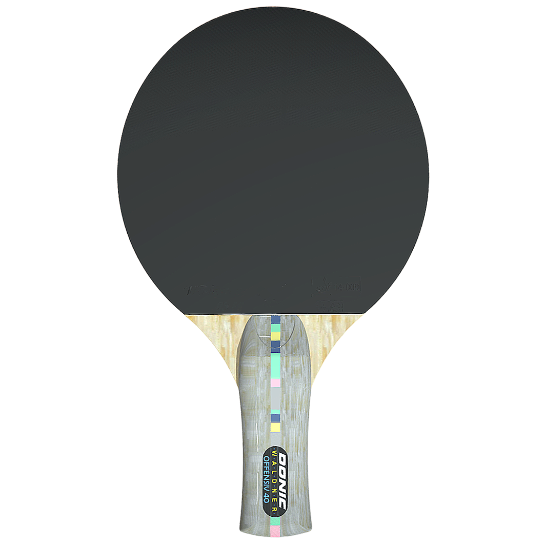 FBX model of table tennis racket for competition