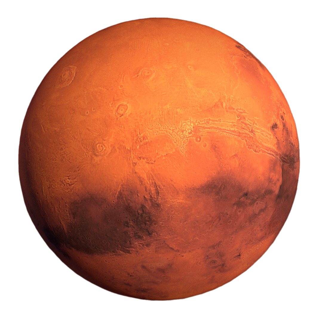 Mars captured by the Insight mission