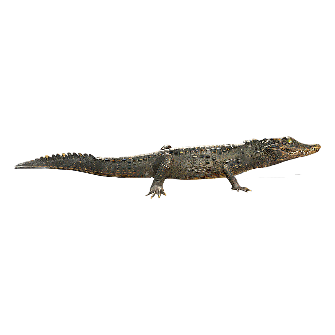 Dwarf crocodile