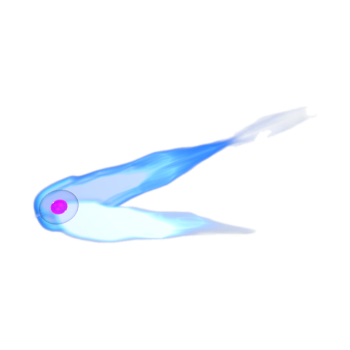 Halley's Comet