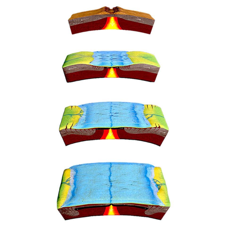 The process of sedimentation on the continental margin