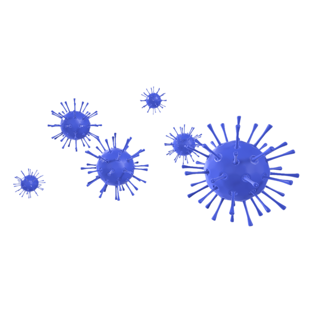 influenza virus