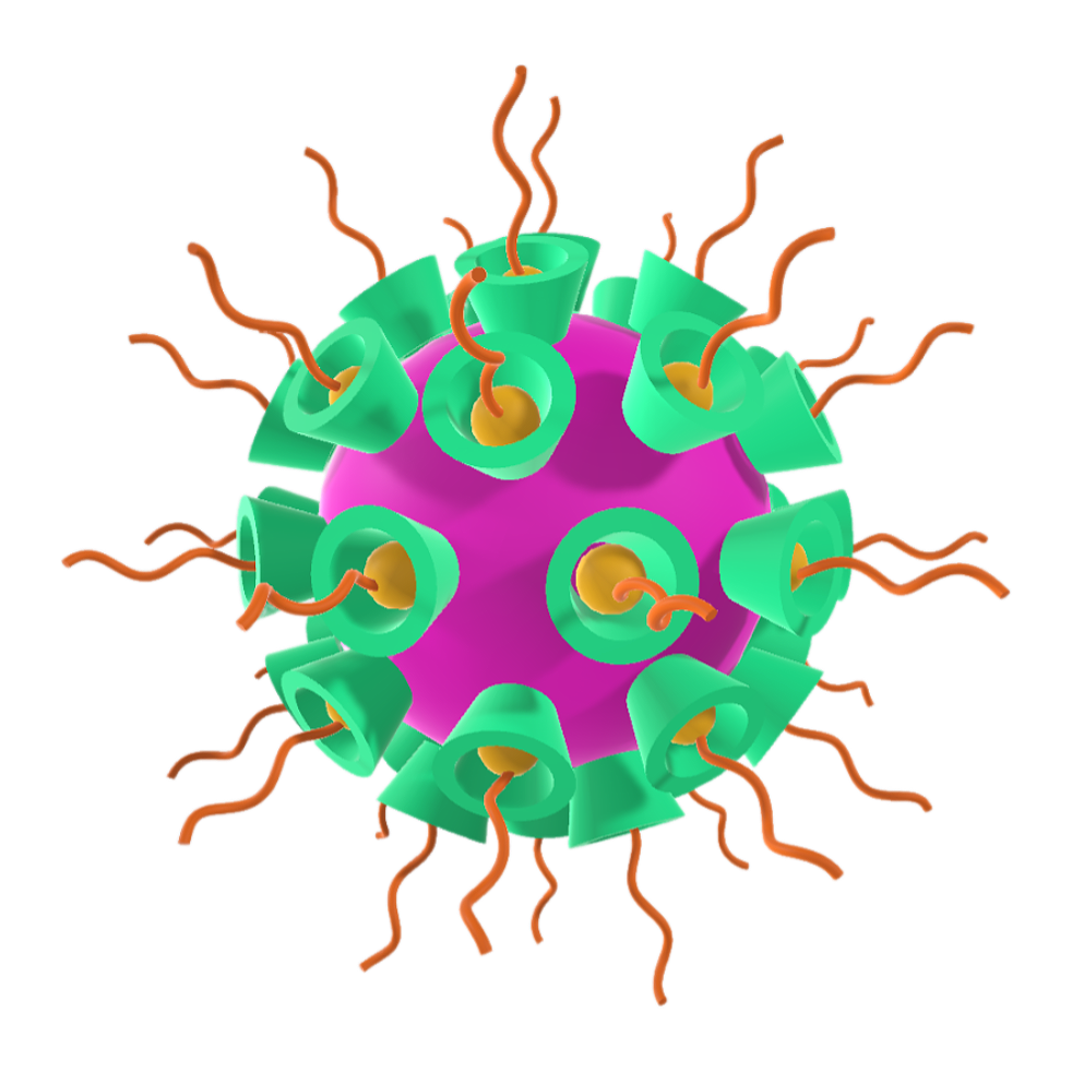 Molecular structure of cyclodextrin