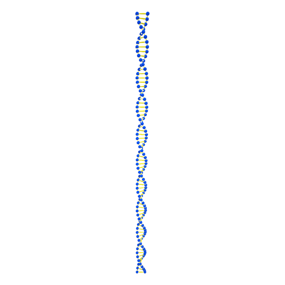 Circular DNA Spiral Molecular Chain