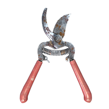 Garden Garden Garden Scissors
