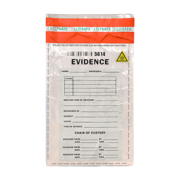 Plastic file bag with documents
