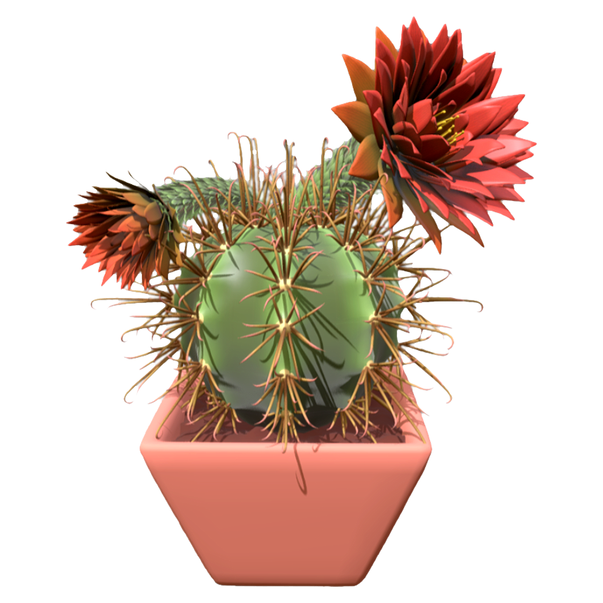 Flowering cactus potted plant