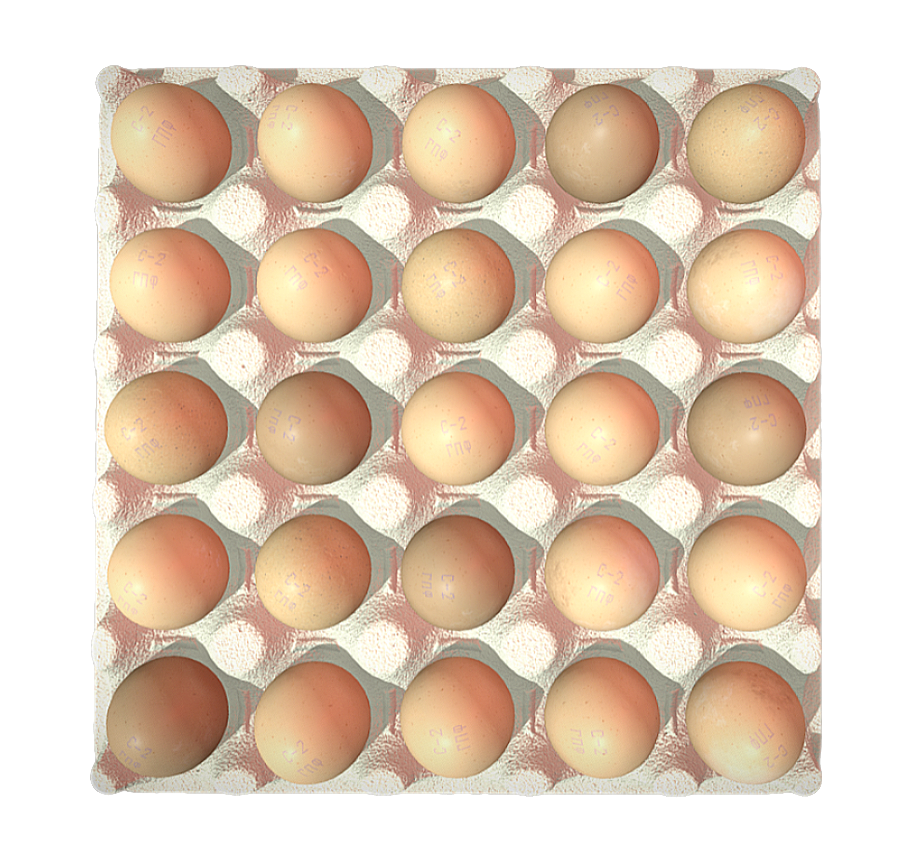 Egg with tray