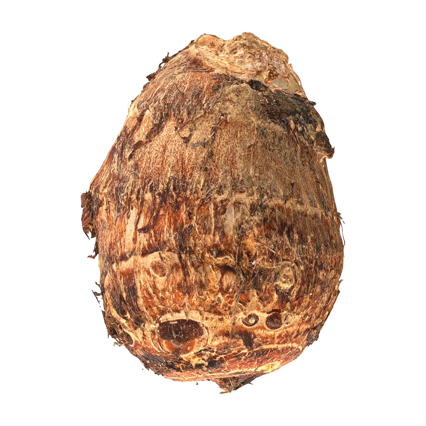 Taro