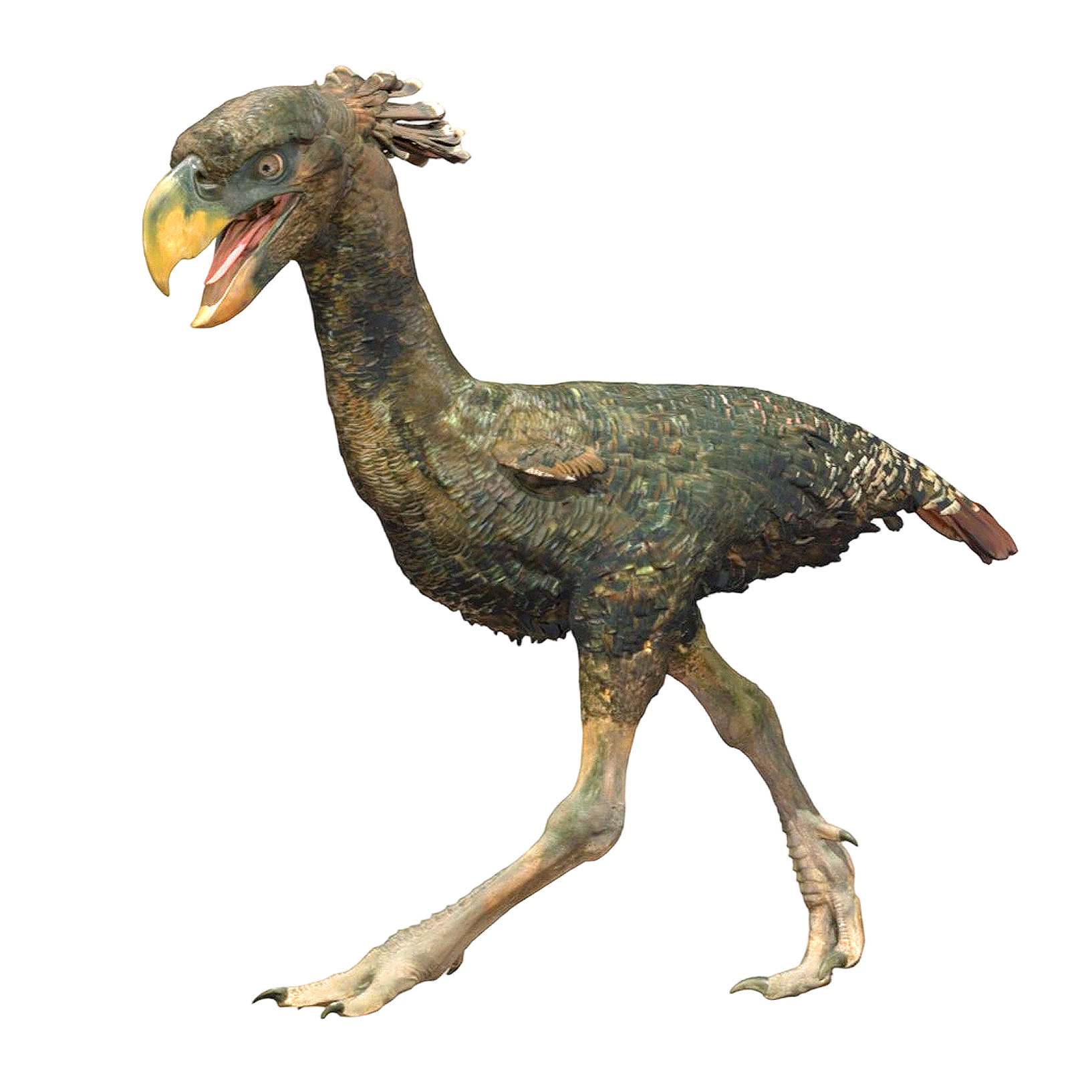 Specimen of Fa