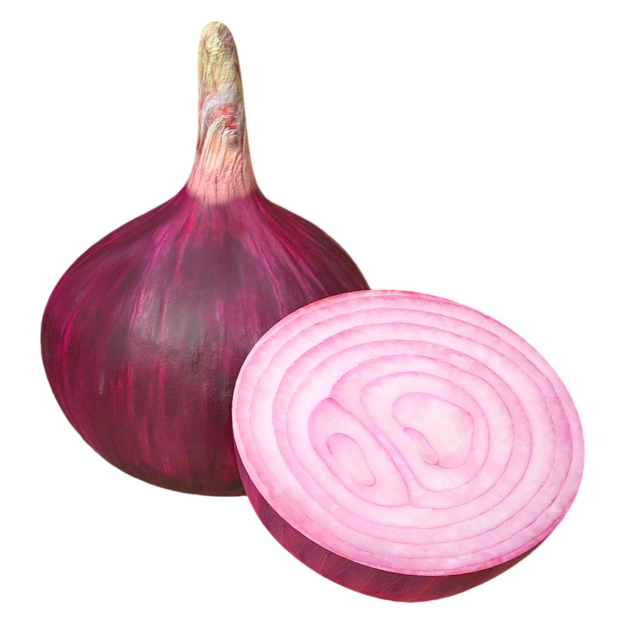 purple onion
