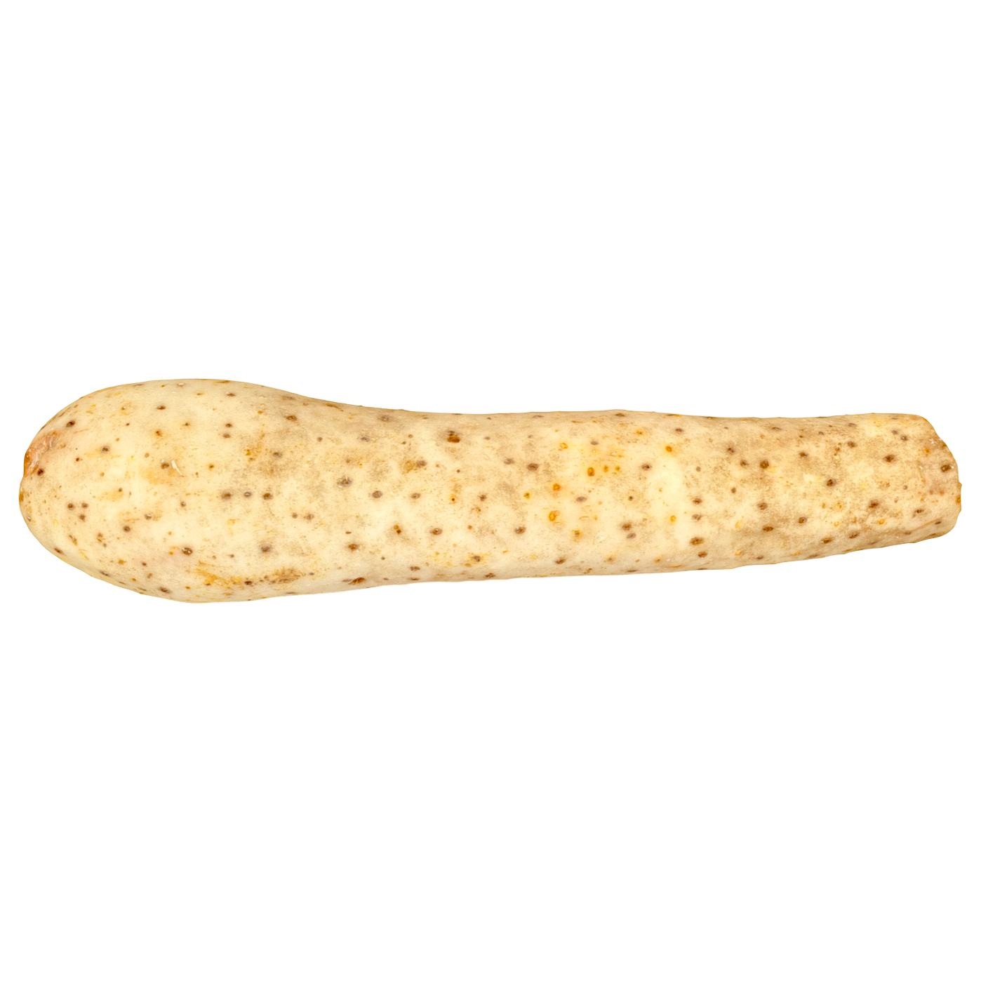 Chinese yam