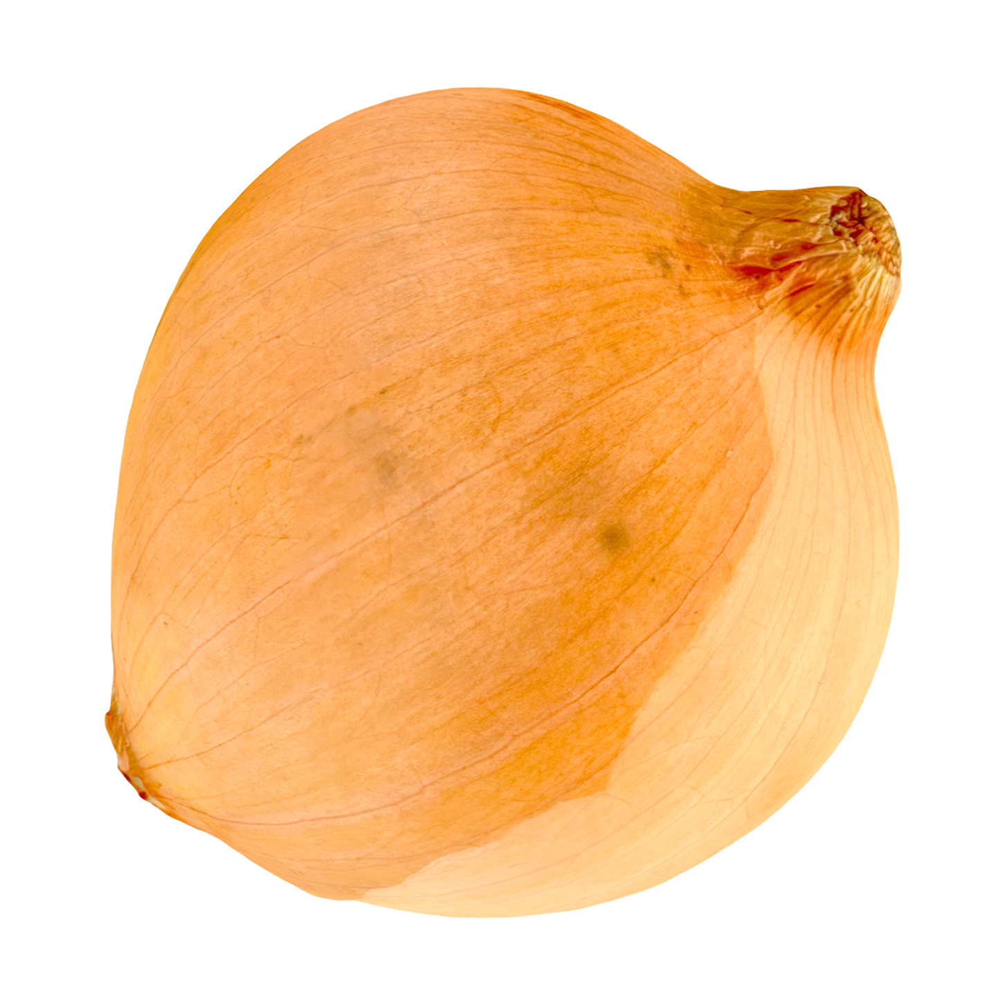 onion
