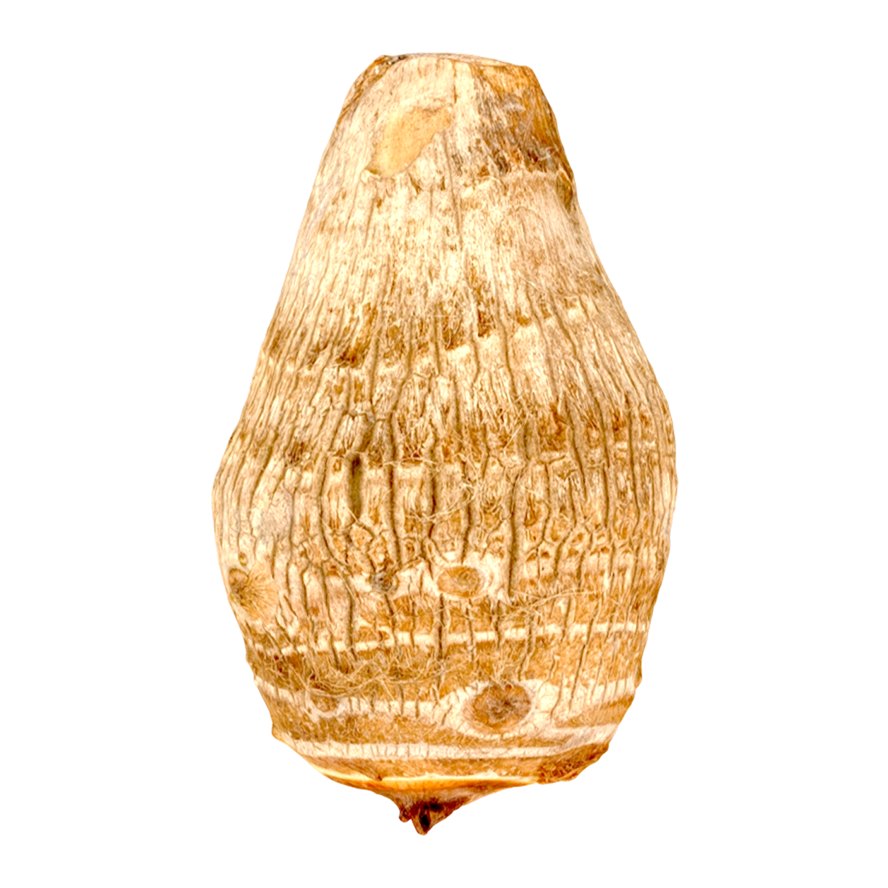 Riyaku