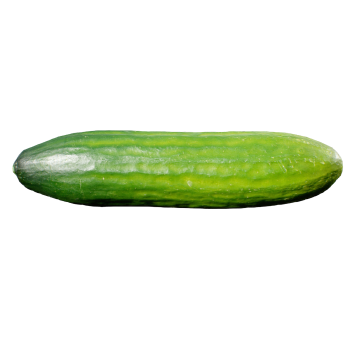 Persian Cucumber