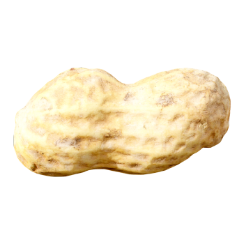 dried peanuts