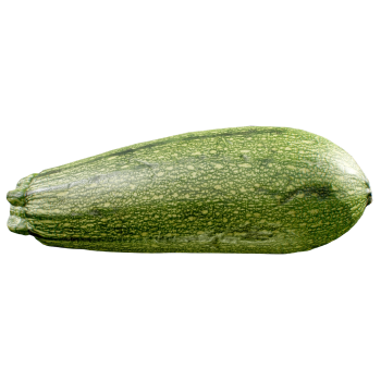 Mexican gray gourd
