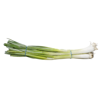 Scallion