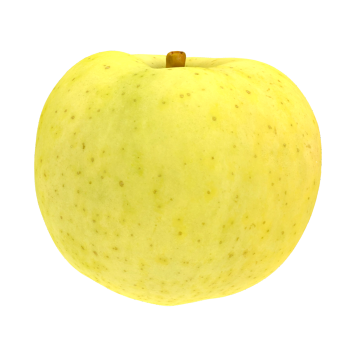 hybrid green apple