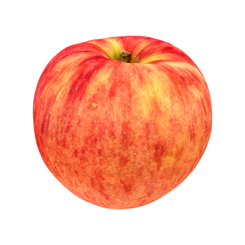 Jin light apple