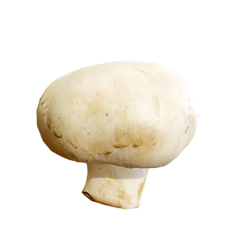 White Button Mushroom