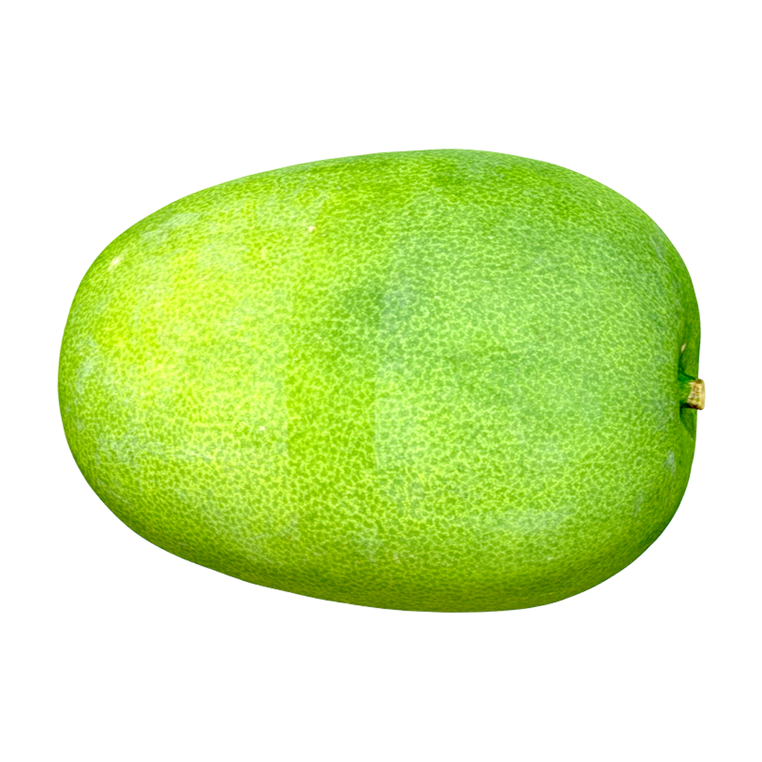 Winter melon