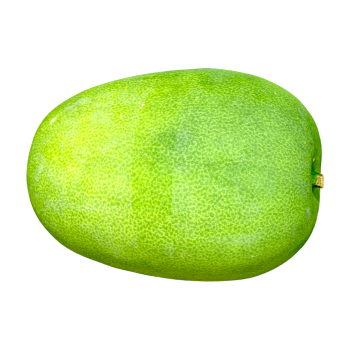 Winter melon