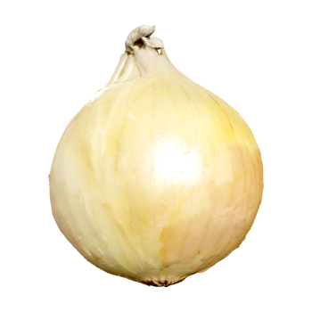 Yellow-skinned onion