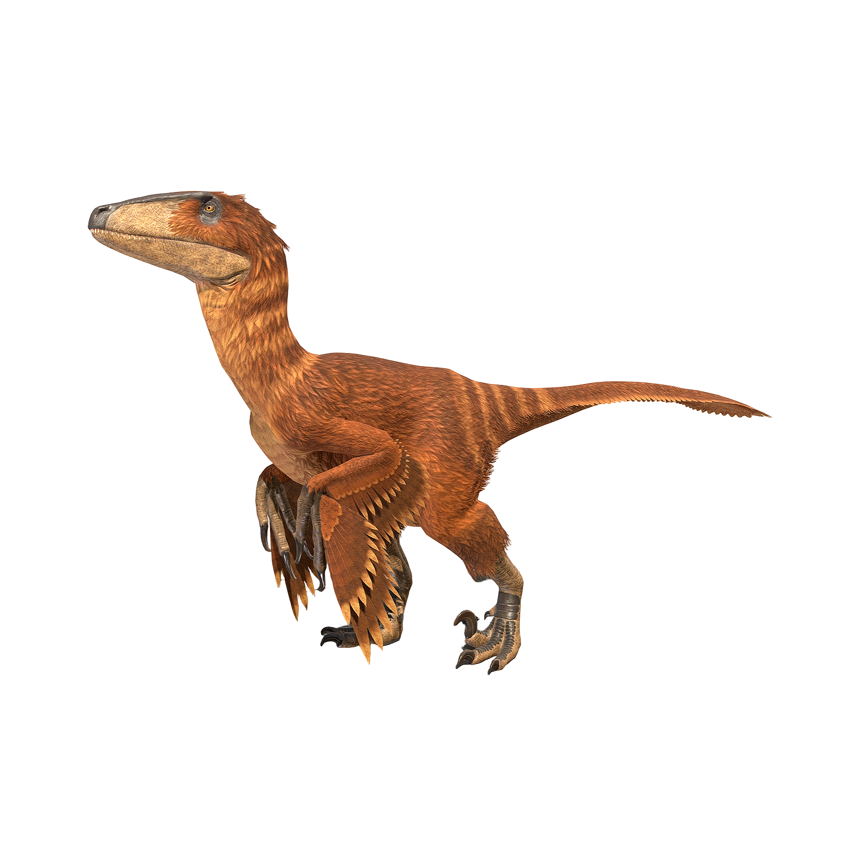 Deinonychus (3D animated model)