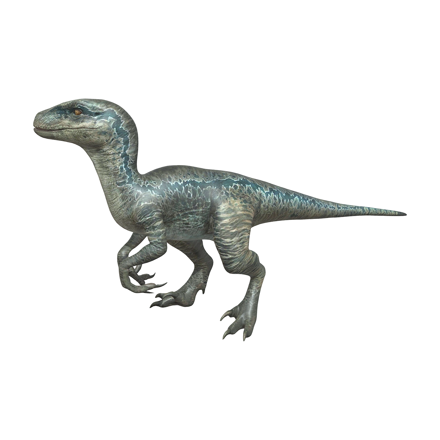 Velociraptor (3D animated model)