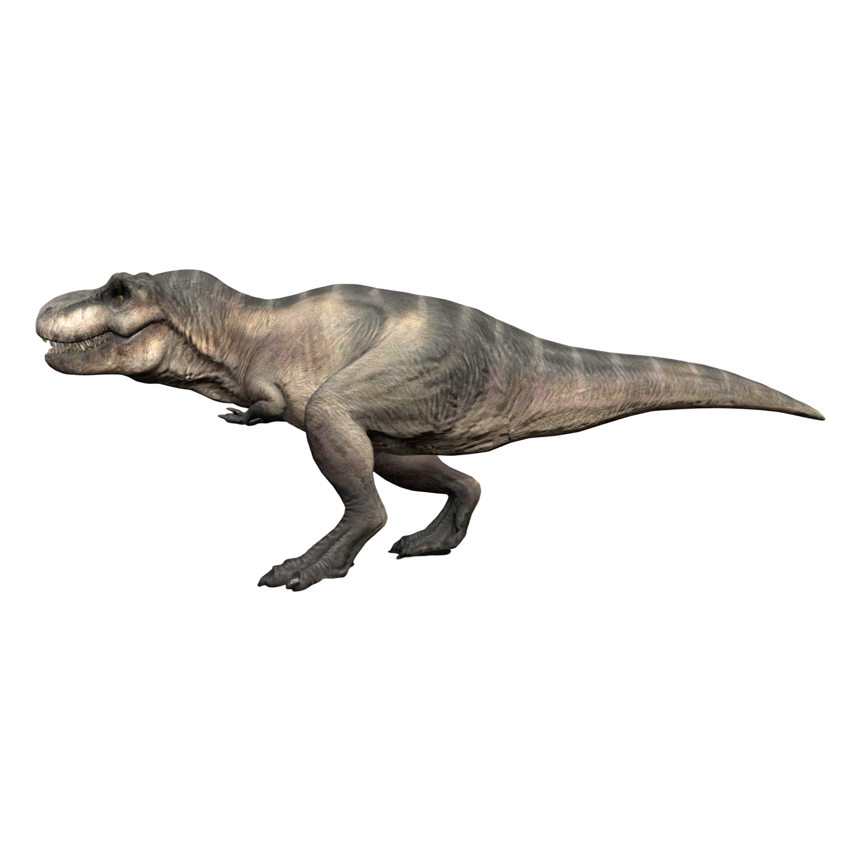 Tyrannosaurus Rex (3D animated model)