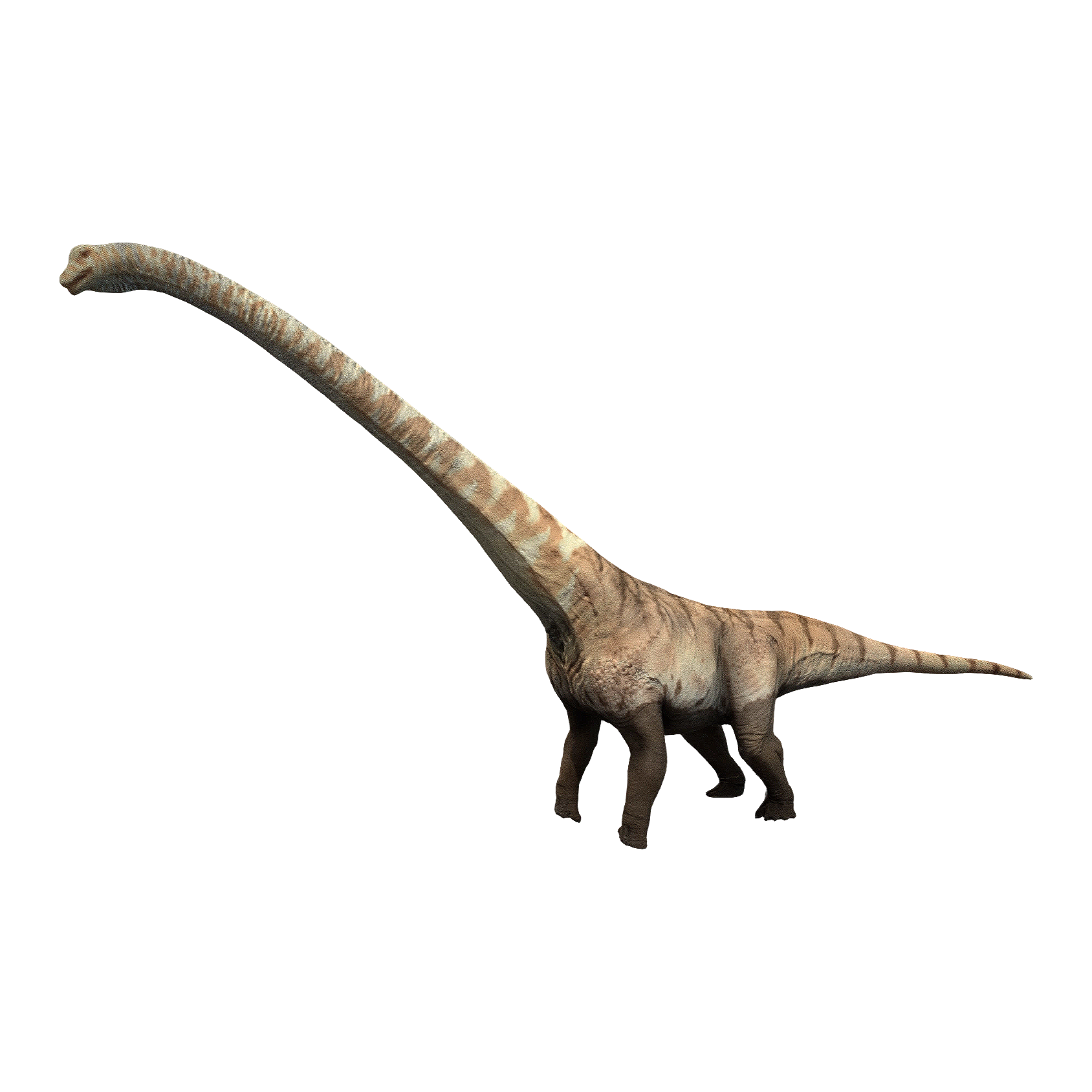 Mamen Creek Dragon (3D animated model)