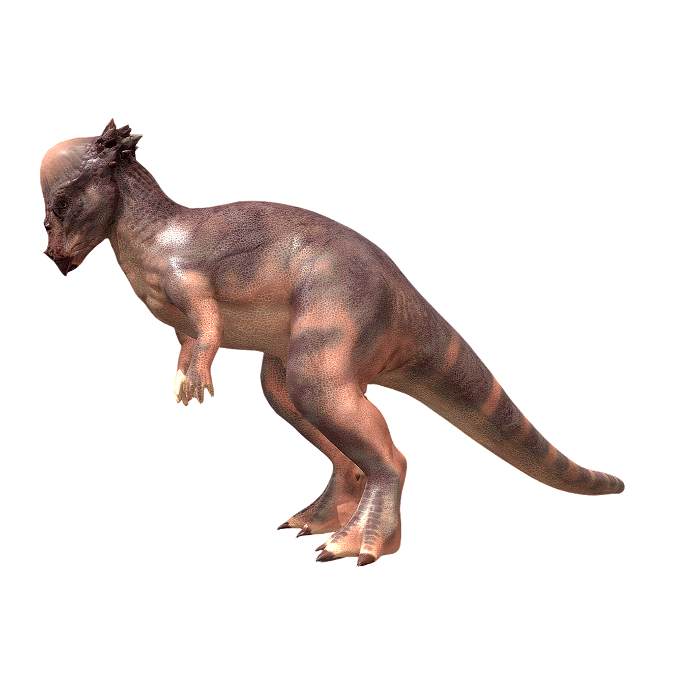 Swollen Head Dragon (3D Animated Model)