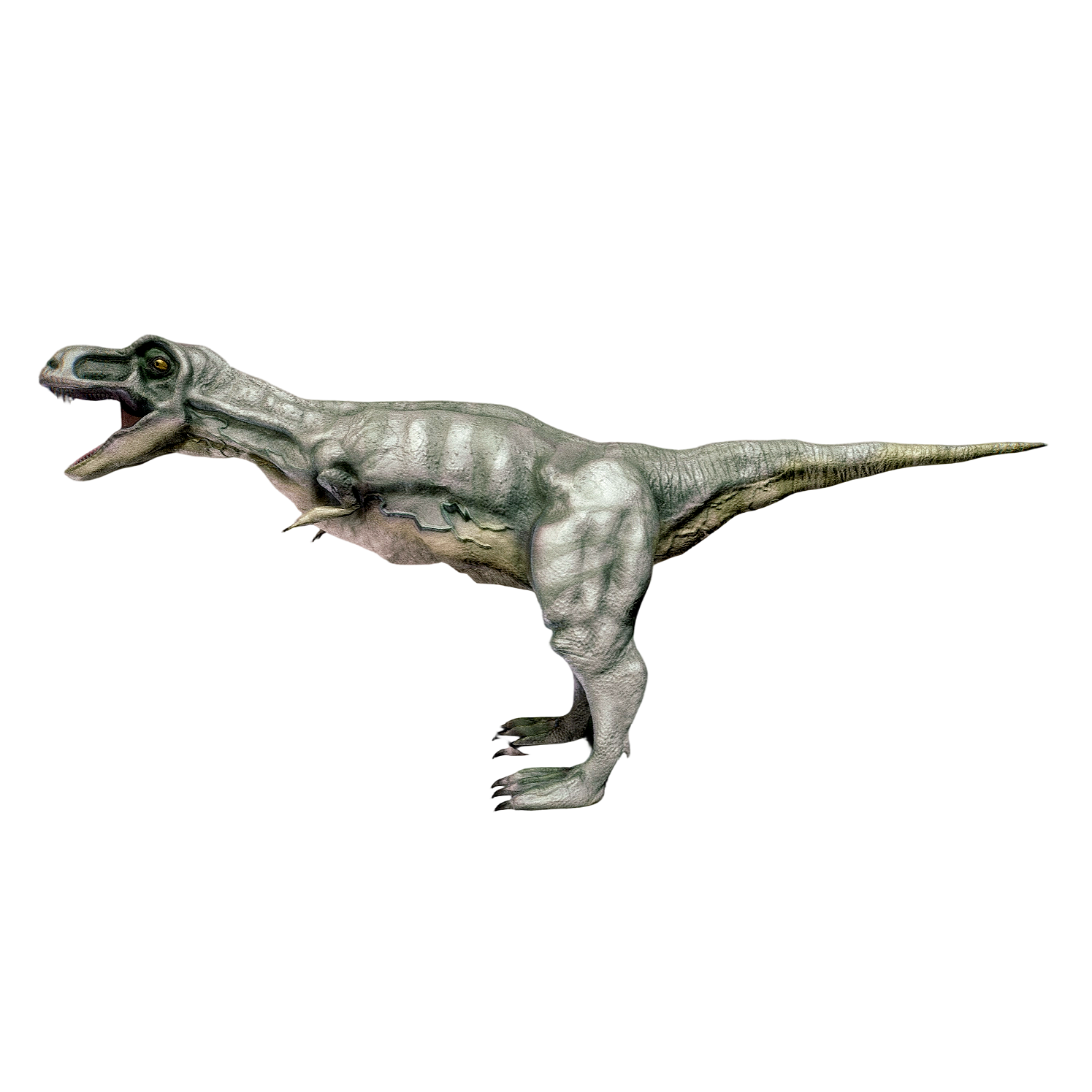 Tyrannosaurus Rex (3D animated model)