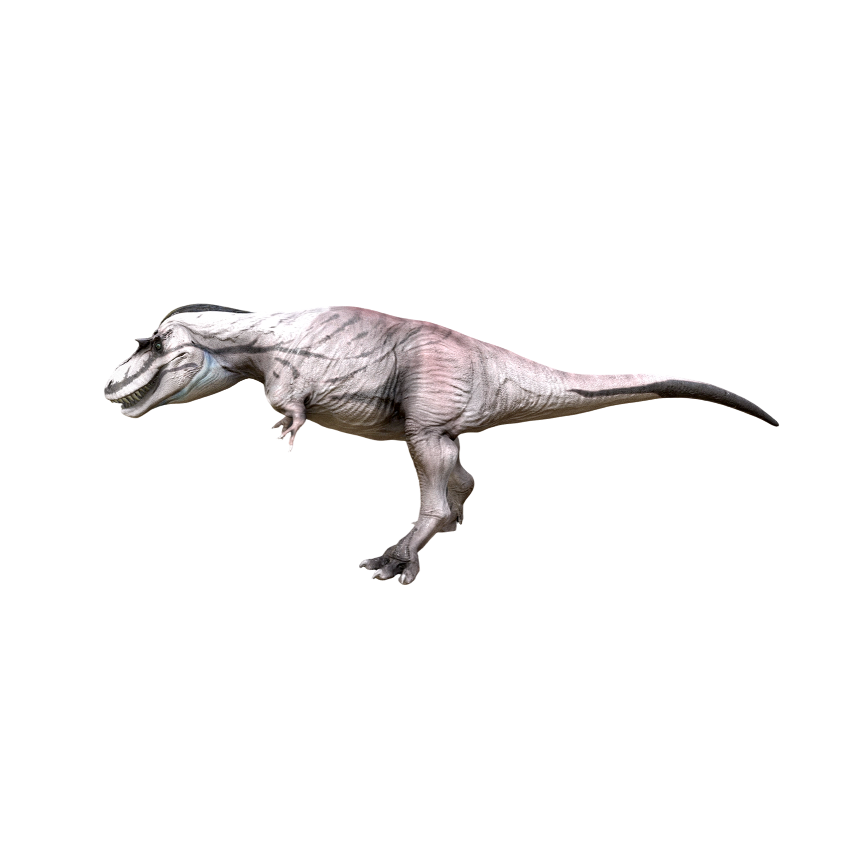 Albertolon (3D animated model)