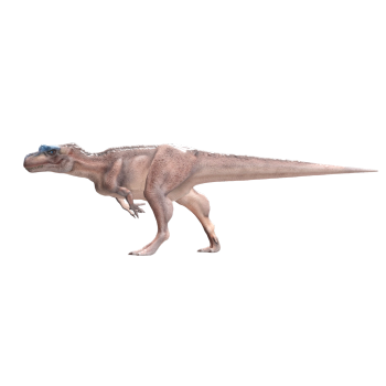 The allosaurus (3D animated model)