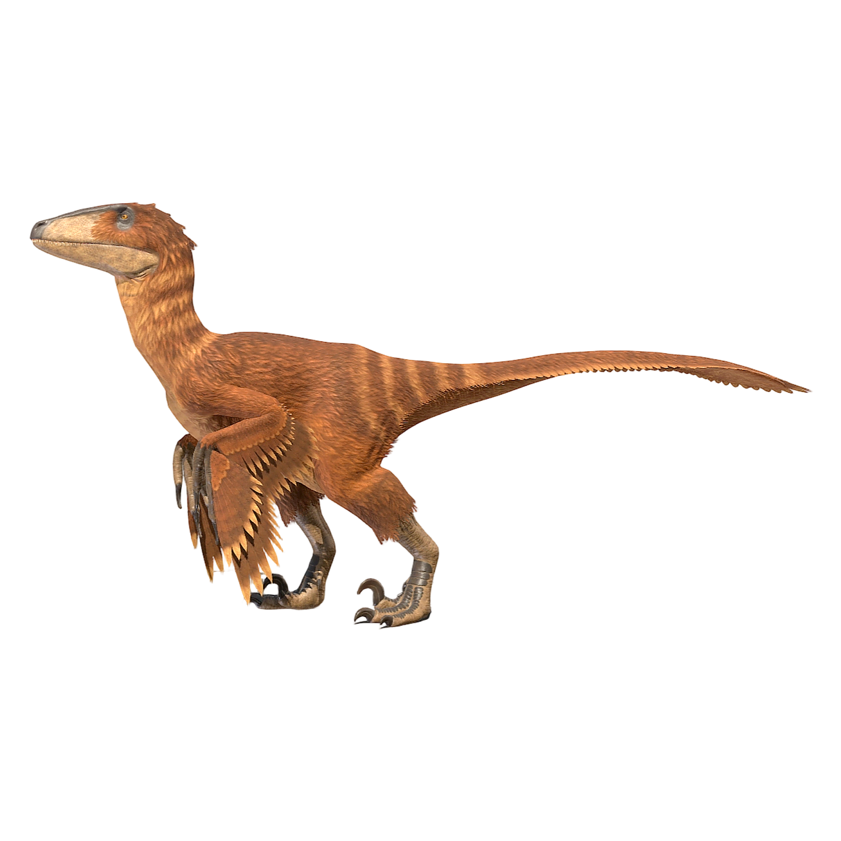 Deinonychus (3D animation model)