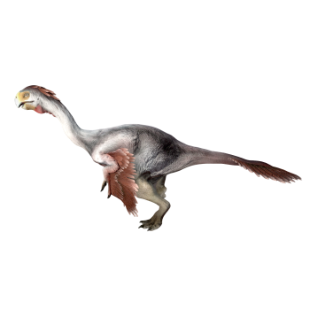 Erlian raptor (3D animated model)