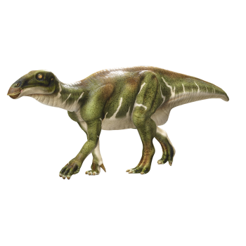 Bird Dragon (3D animated model)
