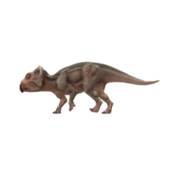 Fiber Hornstrone (3D animated model)