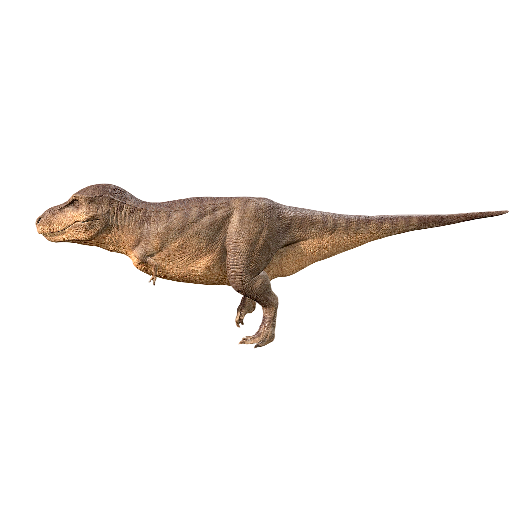 Tyrannosaurus Rex (3D animated model)
