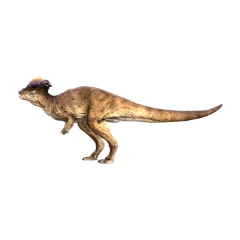 Pachycephalosaurus (3D animation model)