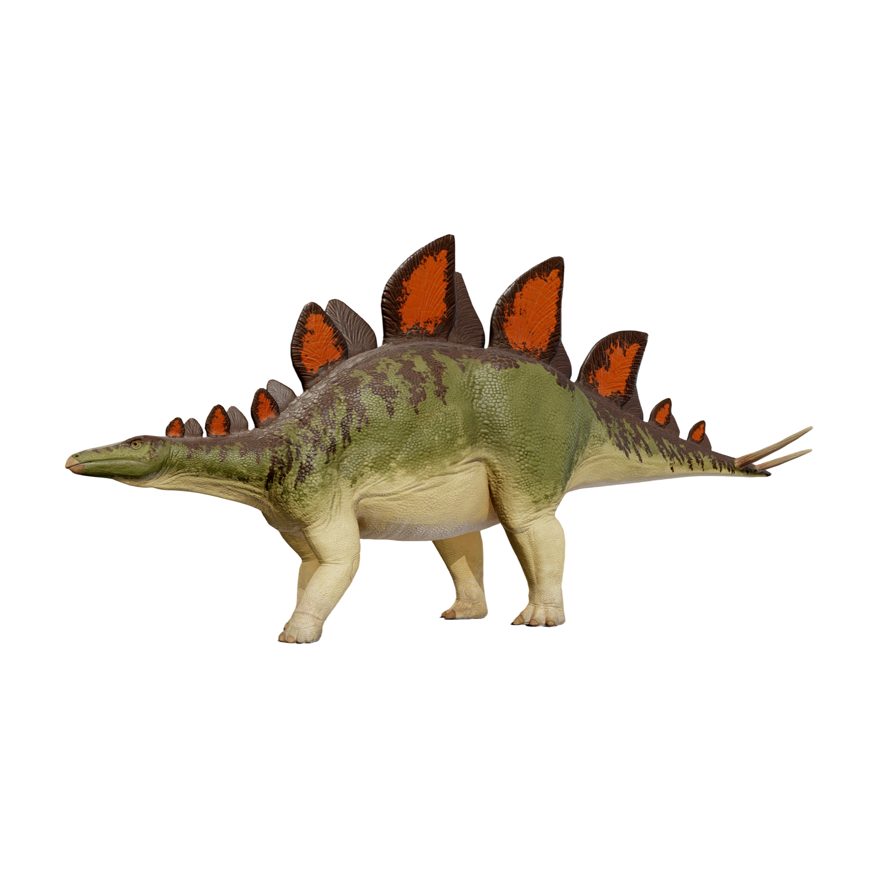 Stegosaurus (3D animated model)