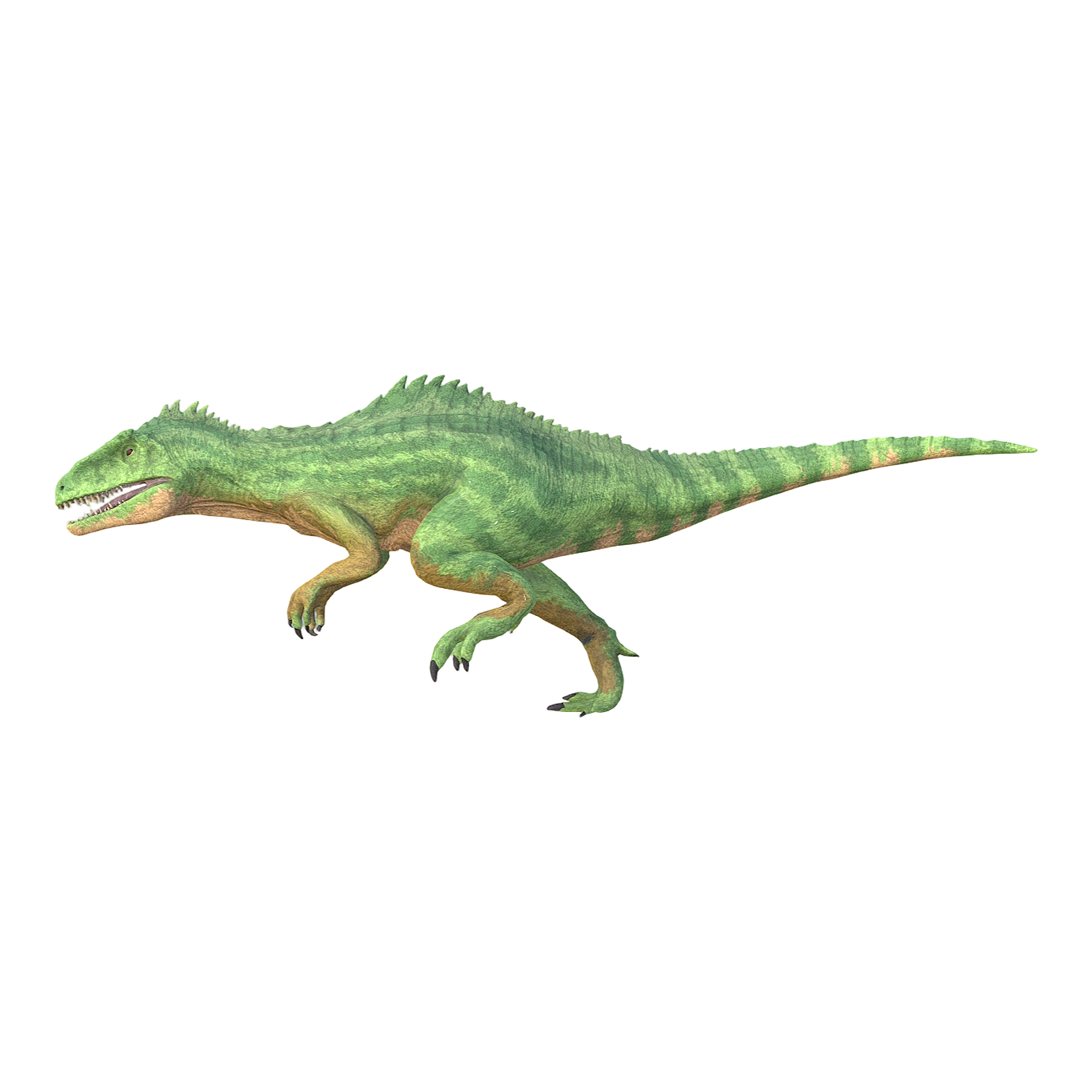Allosaurus (3D animation model)