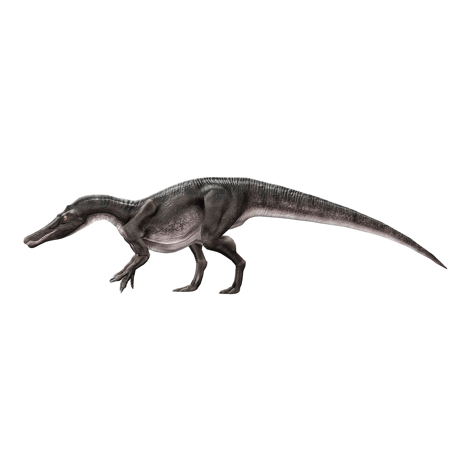 Walker's Heavy Claw Dragon (3D Animated Model)