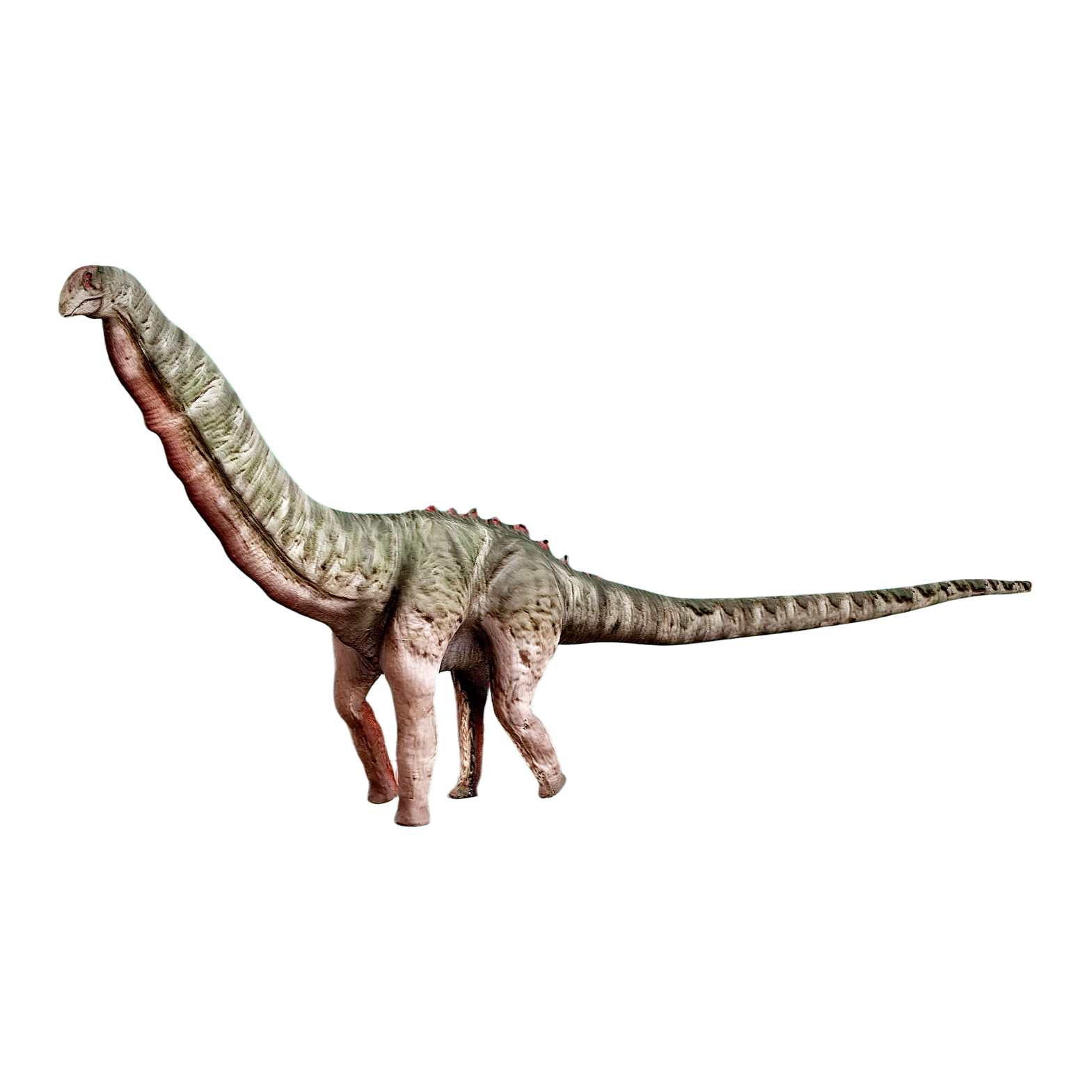Giant Body Dragon (3D animated model)