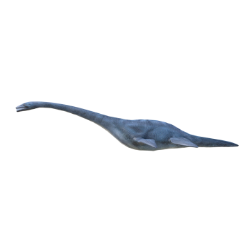 Flake Dragon (3D animated model)