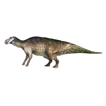 Mother Dragon (3D animated model)