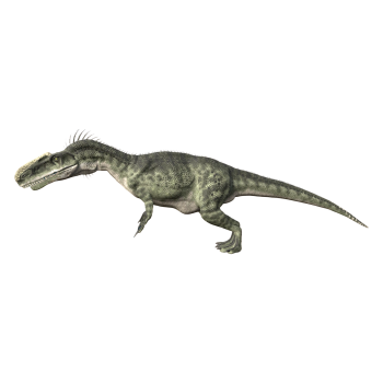 Single-Ridge Dragon (3D animation model)