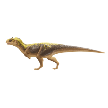 Nabada wins Wang Long (3D animation model)